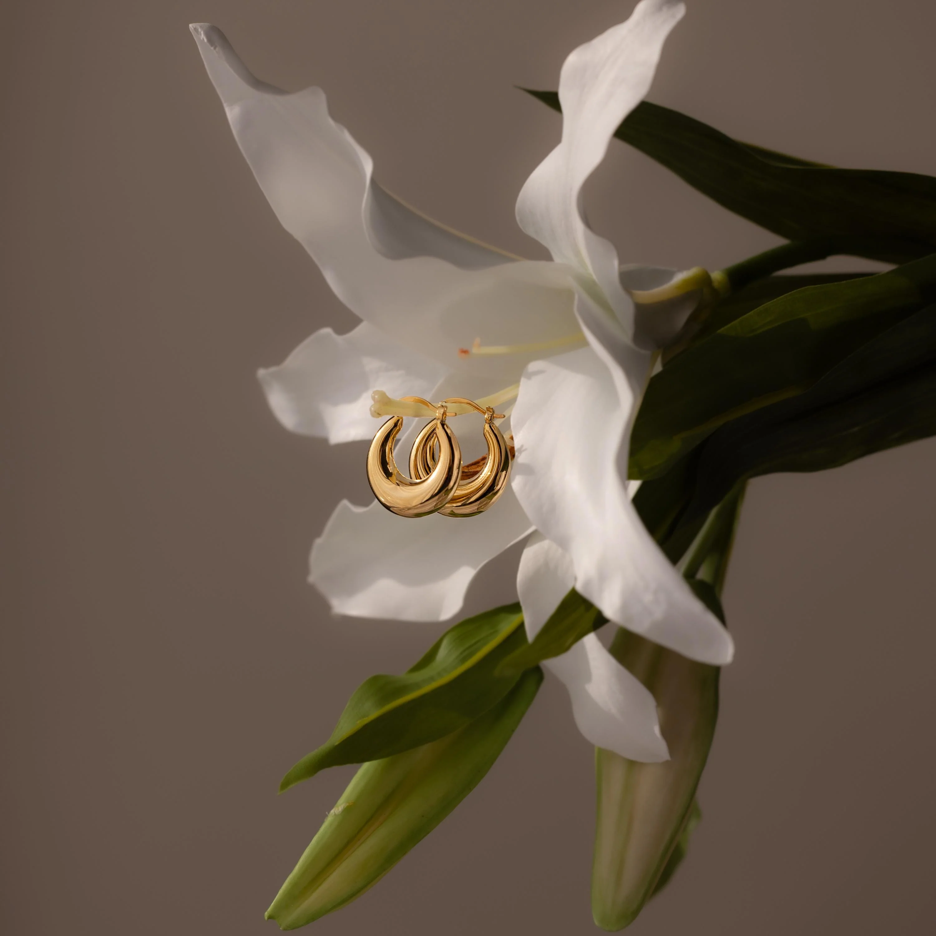 Sculpted Hoops - Image 8